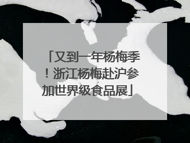 又到一年杨梅季！浙江杨梅赴沪参加世界级食品展